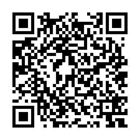 QR code for QYZ2295