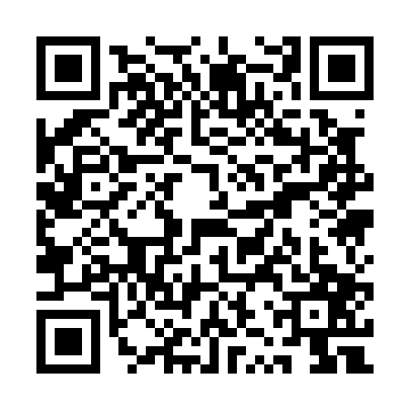 QR code for QZQ0079