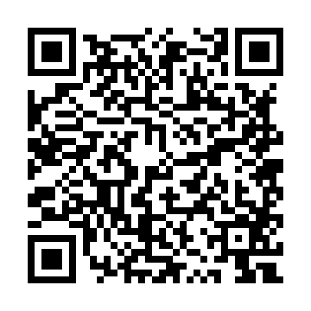 QR code for QZR8869