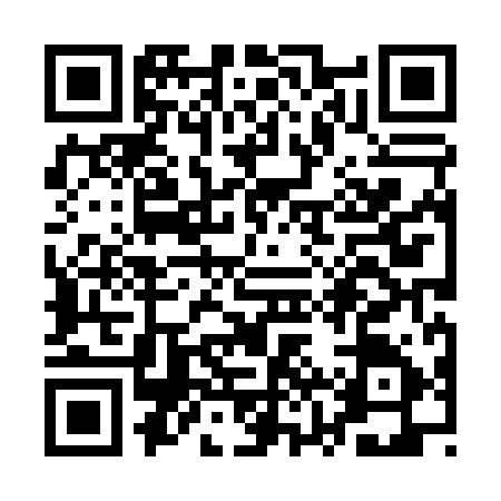 QR code for QZX0950