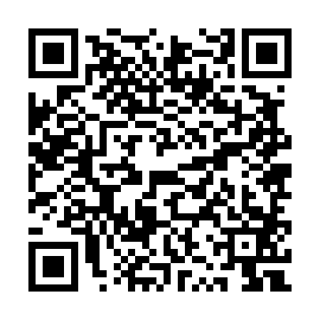 QR code for QZZ4838