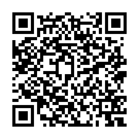QR code for RAY7771