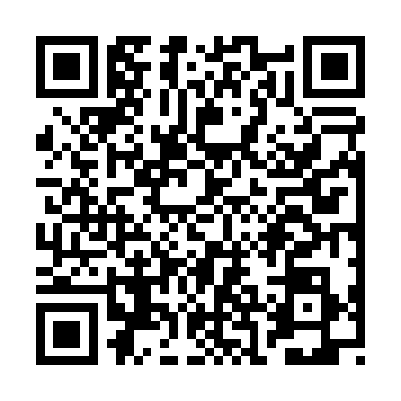 QR code for RBF0385