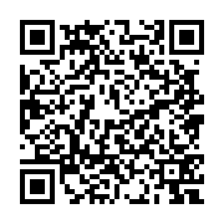 QR code for RCX0739