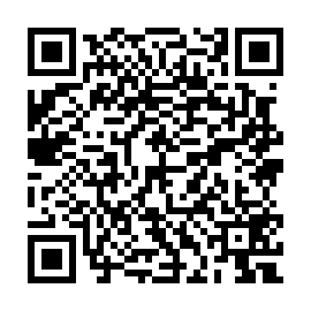 QR code for RDI0595