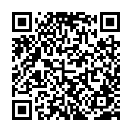 QR code for RG13ZV
