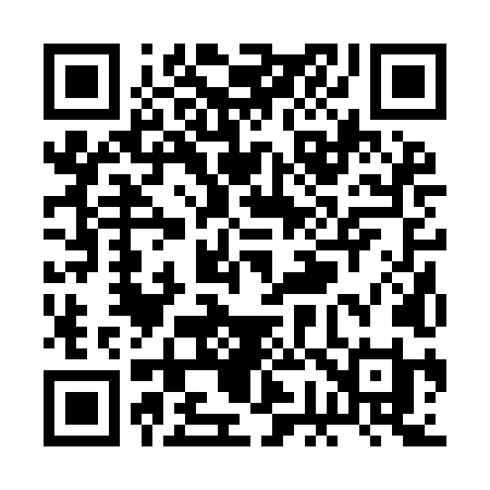 QR code for RG29LI