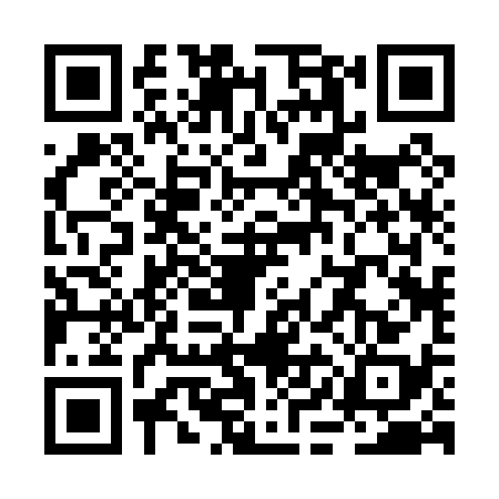 QR code for RIB0385