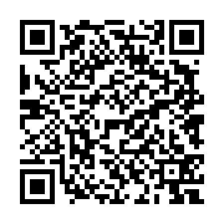 QR code for RID4333