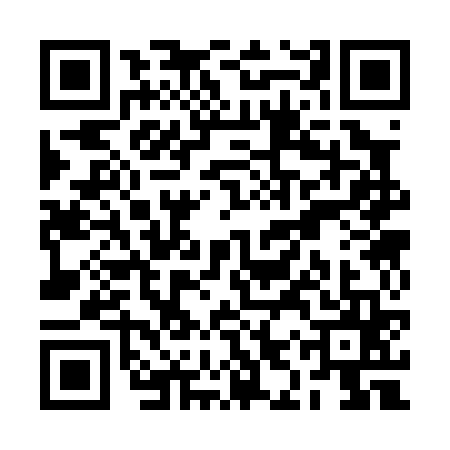 QR code for RIS0653