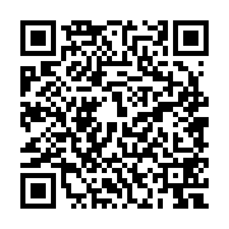 QR code for RIT2580