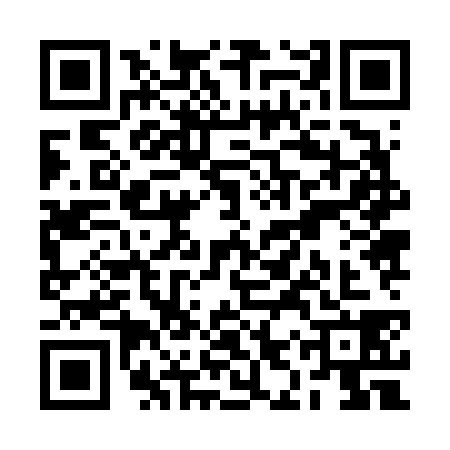 QR code for RIZ6388