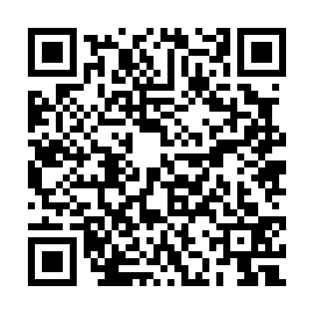 QR code for RJZ0333