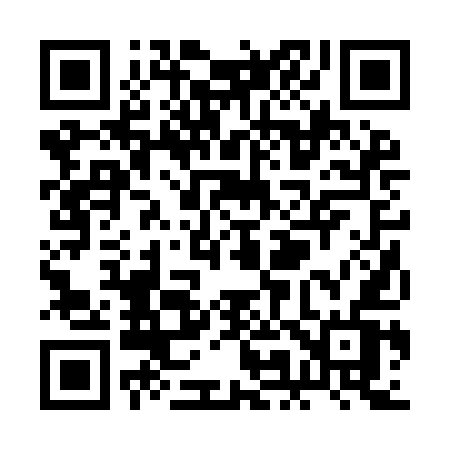 QR code for RM29EV