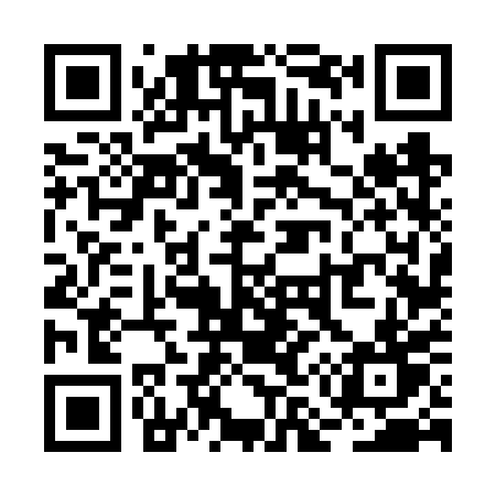 QR code for RM66PT