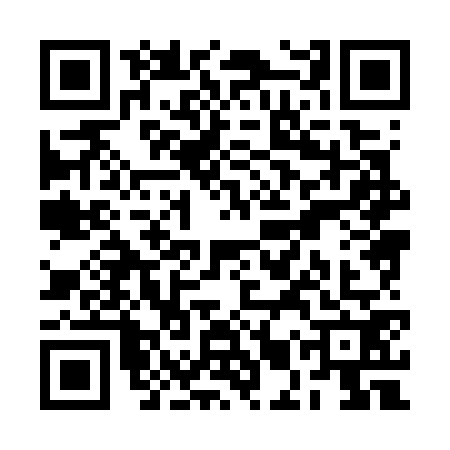 QR code for RMX7729