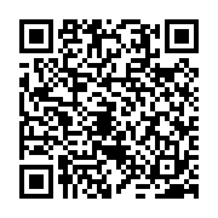 QR code for RNS0335