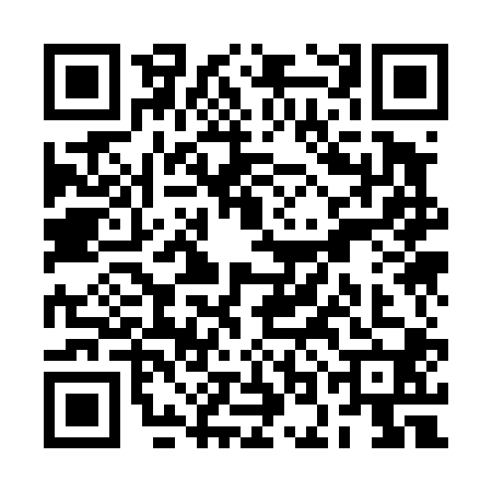 QR code for ROK4007