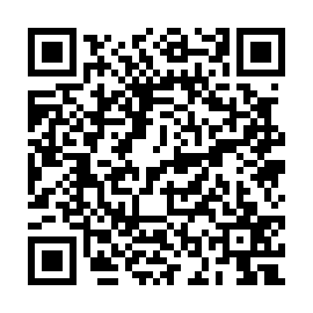 QR code for ROQ0379