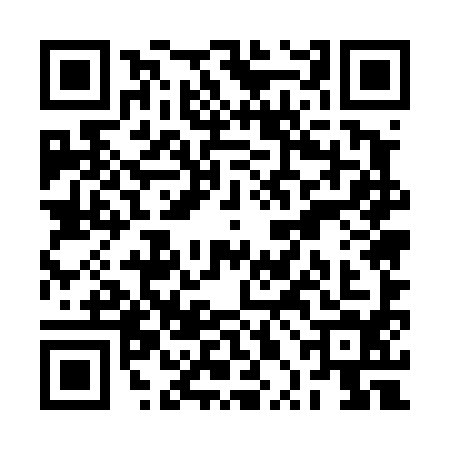 QR code for RPE4941
