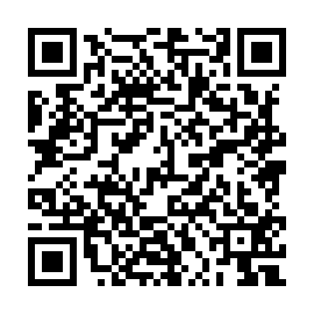 QR code for RPH9133