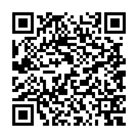 QR code for RPT0738