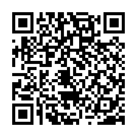 QR code for RQA0381