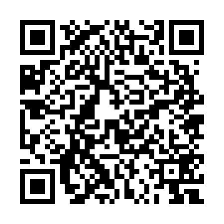 QR code for RRZ6599