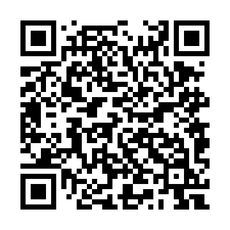 QR code for RT64IN