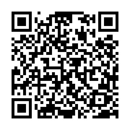 QR code for RT85FZ