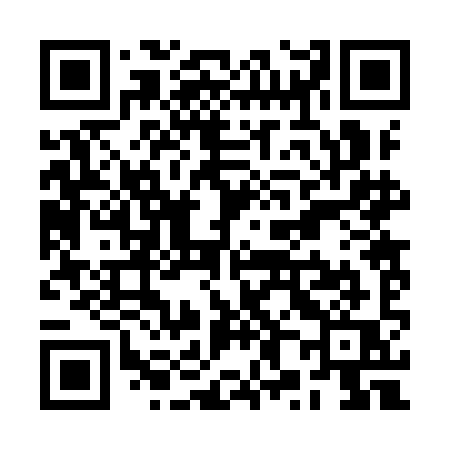 QR code for RX29IQ