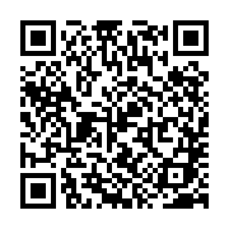 QR code for RY31LI