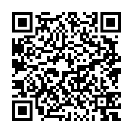 QR code for RYH4393