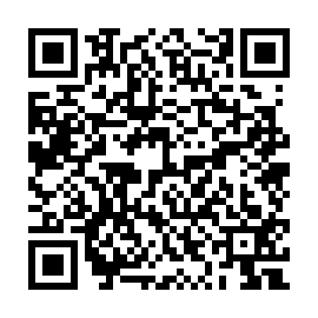 QR code for RYO3138