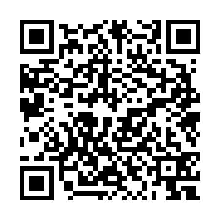 QR code for RYO6328