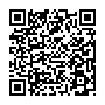 QR code for RYQ8463