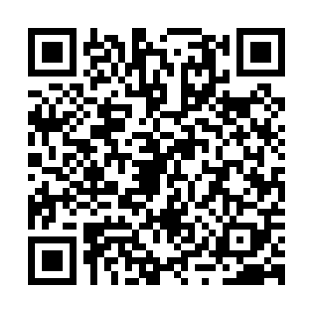 QR code for RYU0095