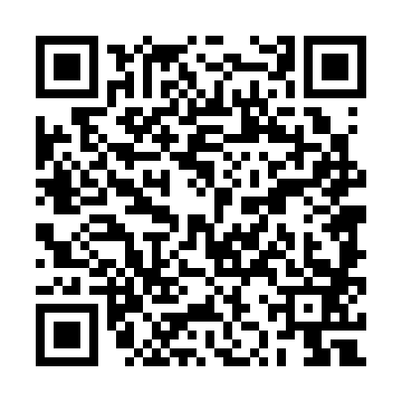 QR code for RZT3833