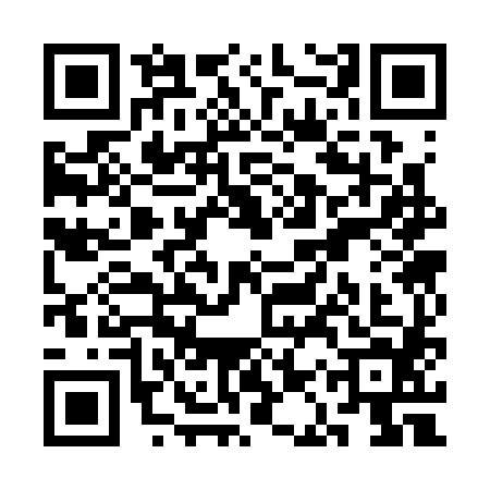QR code for SAS3841