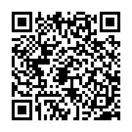 QR code for SAT2933