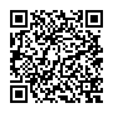 QR code for SDK0199