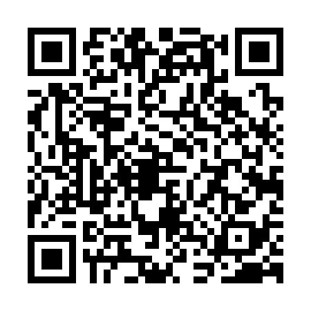 QR code for SDT3382