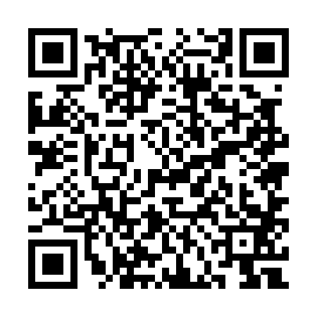 QR code for SFE0838