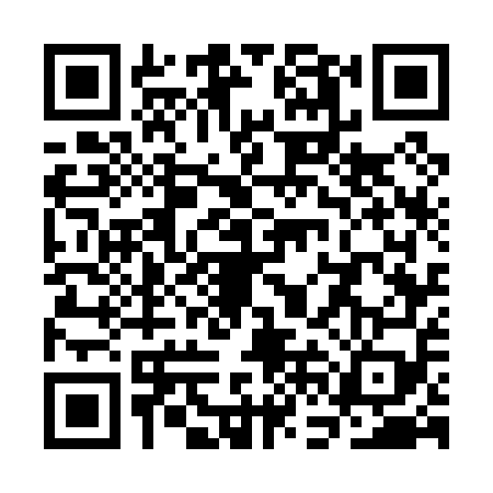 QR code for SFG0593