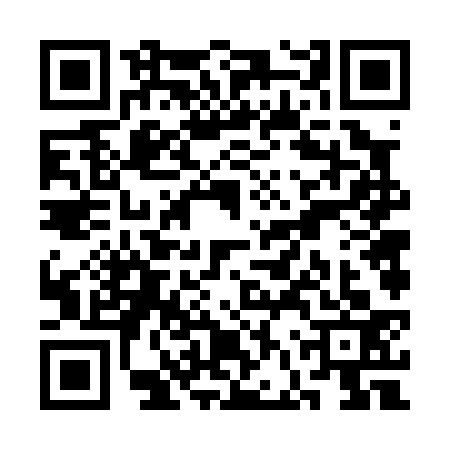 QR code for SFV0333