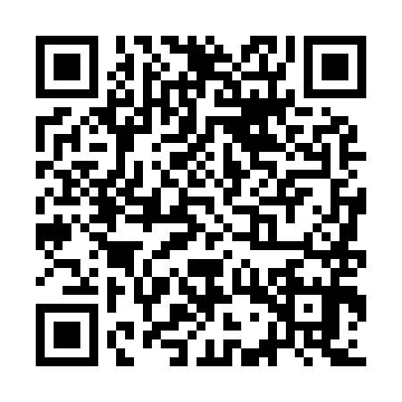 QR code for SGT9951