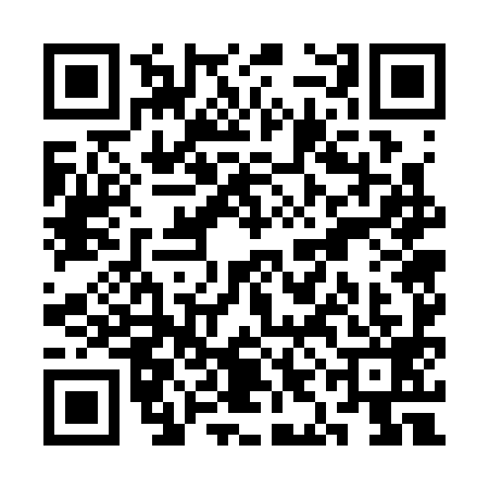 QR code for SIG3991
