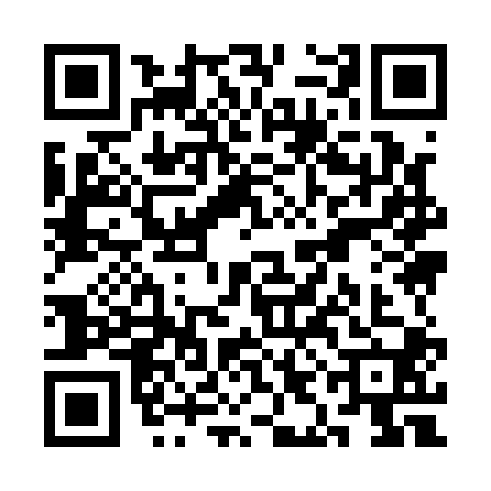 QR code for SII1007