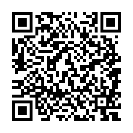 QR code for SIN6859