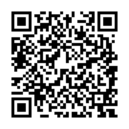 QR code for SIN6905